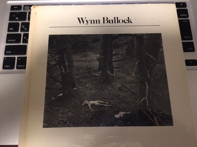 ファインプリントの大家には申し訳ないが　The Aperture history of photography series　「Wynn Bullock」