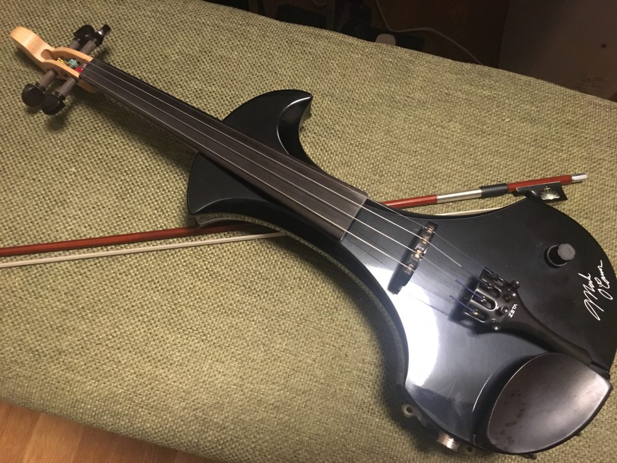 おとなしくギターだけ練習していればいいのに、Zeta Violin